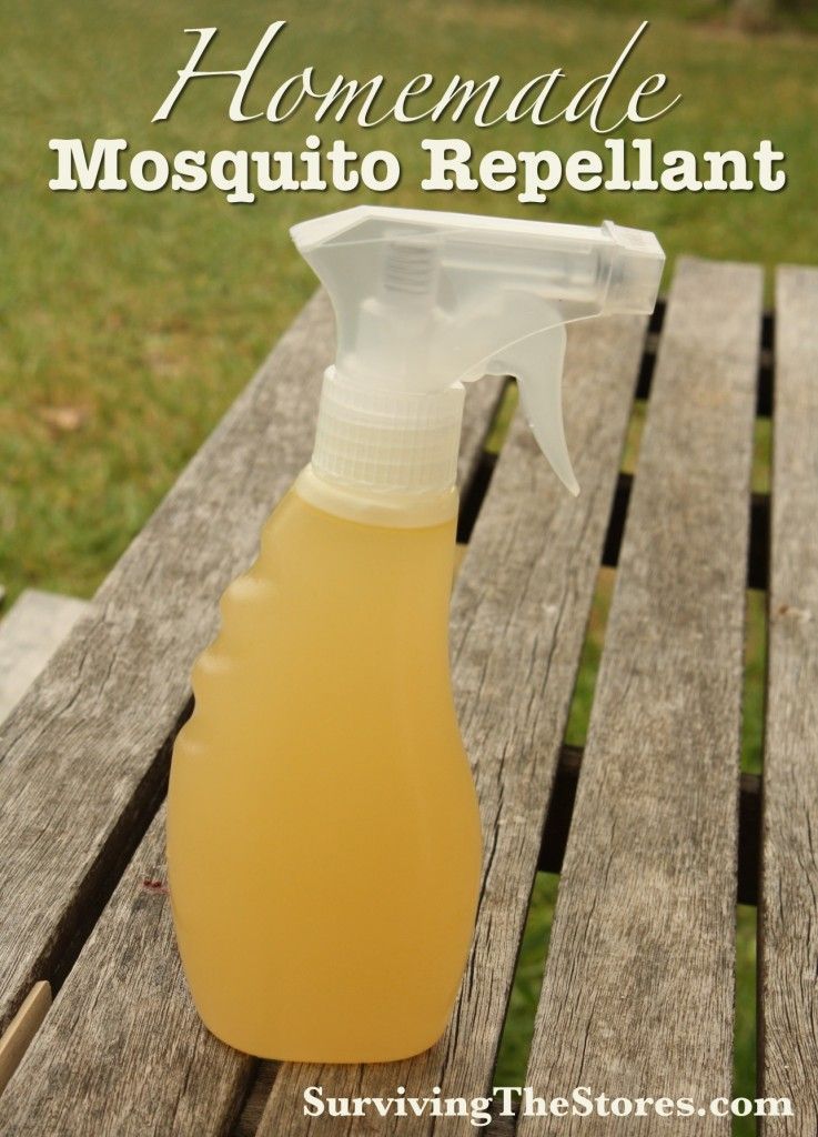 Homemade Mosquito Repellant – just 3 ingredients!