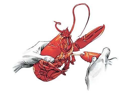 How to Crack a Lobster