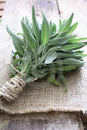 Adding sage to your campfire or fire pit keeps mosquitoes and bugs away.