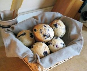 Blueberry Muffins