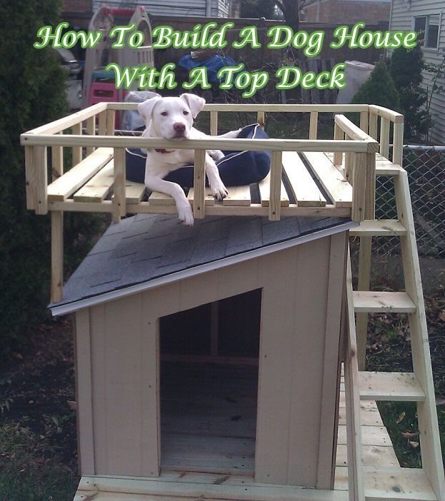 How To Build A Dog House  With A Top Deck