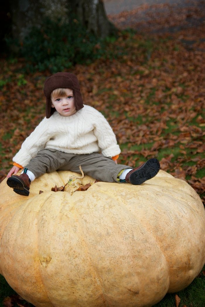 #pumpkin #toddler #kids #photography #fall