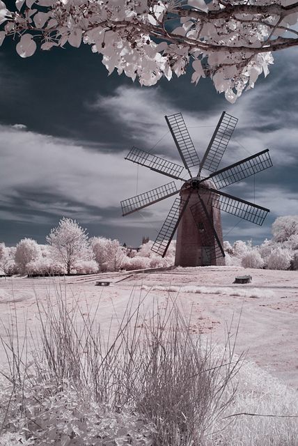 Boyds Windmill – Middletown, Rhode Island.Color infrared image of Boyds Windmill