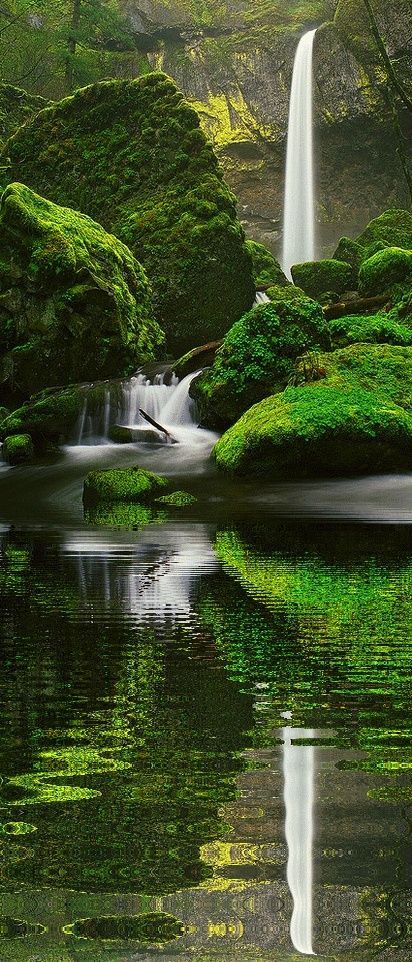 Elowah Falls, Oregon #nature