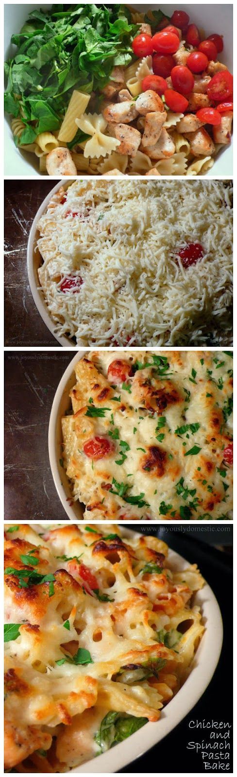 Chicken and Spinach Pasta Bake (a little bit more unhealthy but for the holidays