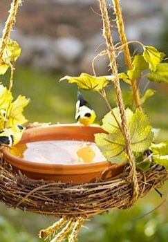 M DIY Bird Bath Craft for Summer! I love this and have birds all over my yard, m