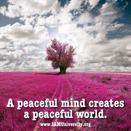 Meditation ~ A peacefull mind creates a peacefull world