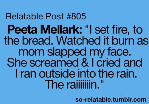 Ok. I love Hunger Games but I thought this was really funny. :) I DO NOT OWN THI