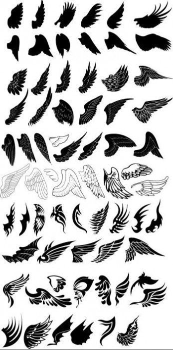 wing tattoos  i want some wing tattoos on my shoulders, and some small bird tatt