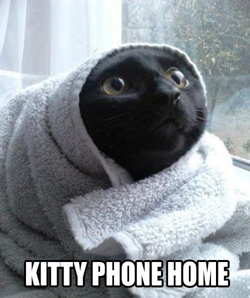 E. T. Cat @Lacey Grieser your worst nightmare LOL ;)
