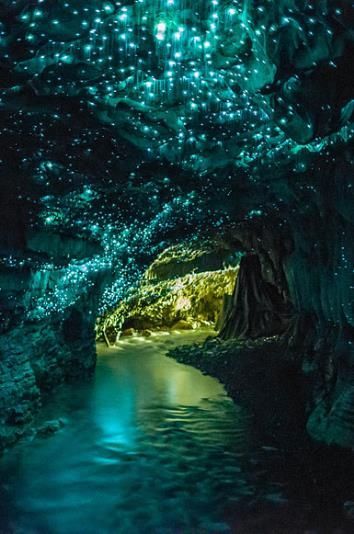 Glowworm Caves in Waitomo, New Zealand