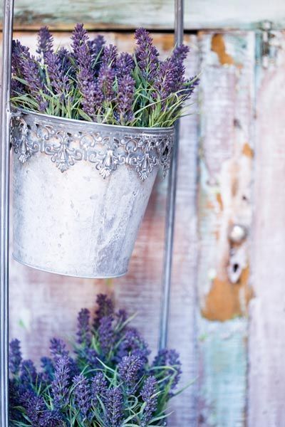 lavender in pretty containers