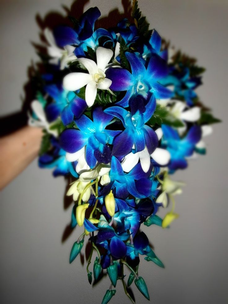 Peacock Wedding Flowers | Blue Singapore Orchid Wedding Flowers | Peacock Weddin