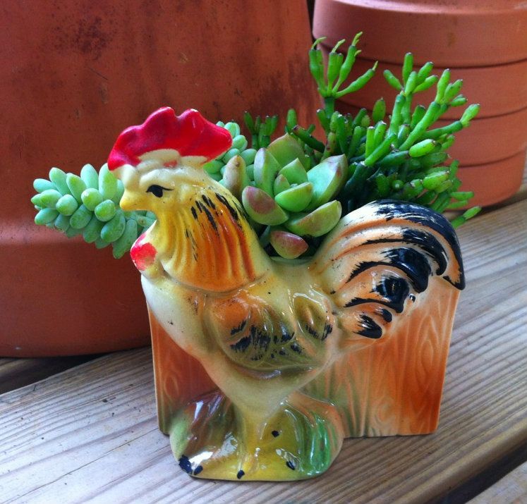 Adorable Rooster Planter Succulents!