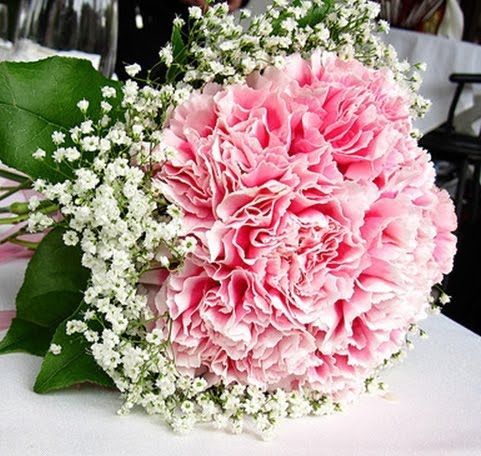 Babys Breath & Pink Carnations Bouquets   Carnations are so underrated but reall