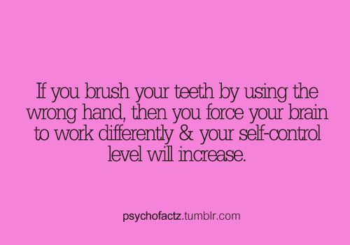 Random Facts Tumblr ..or someone wants everyone to awkwardly brush their teeth w