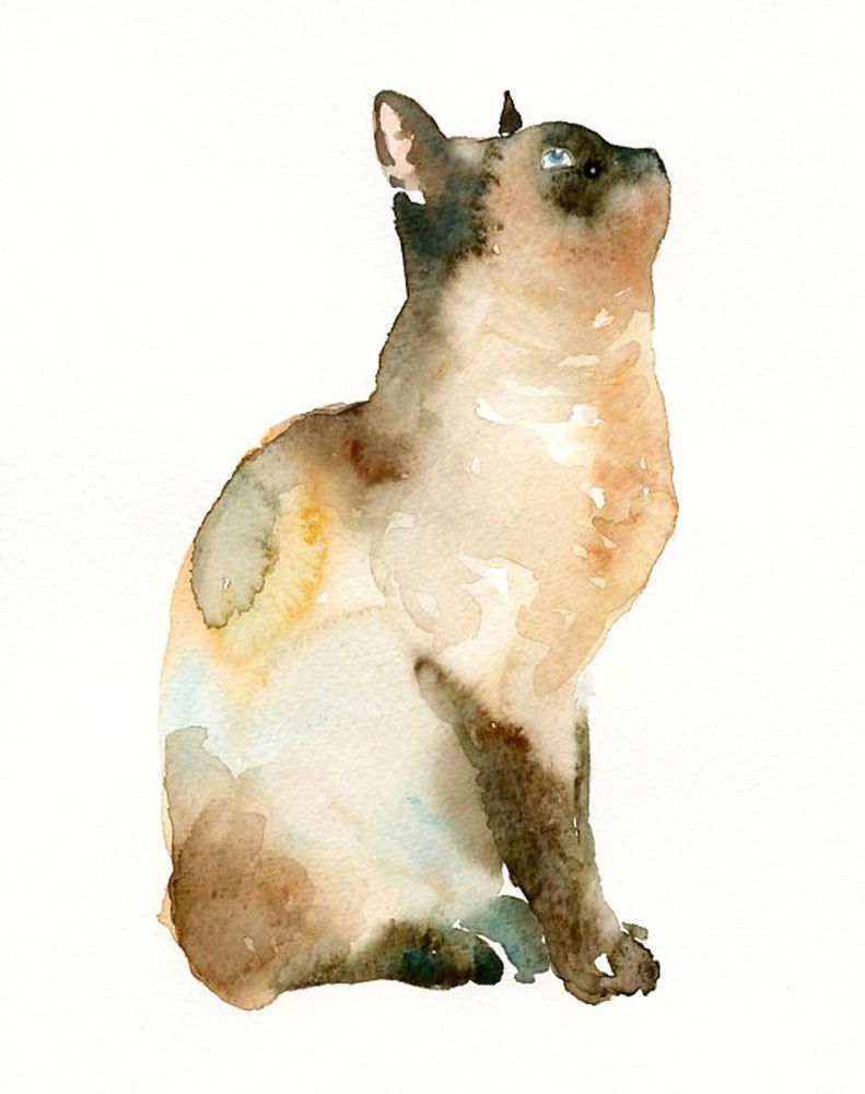 Watercolour Cat – watercolour AND cat – 2 of my most favourite things – gotta PI
