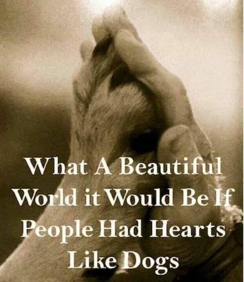 What a beautiful world it would be if…