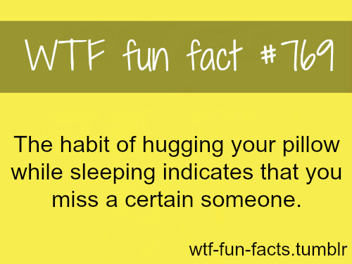 WTF…Fun Fact…~