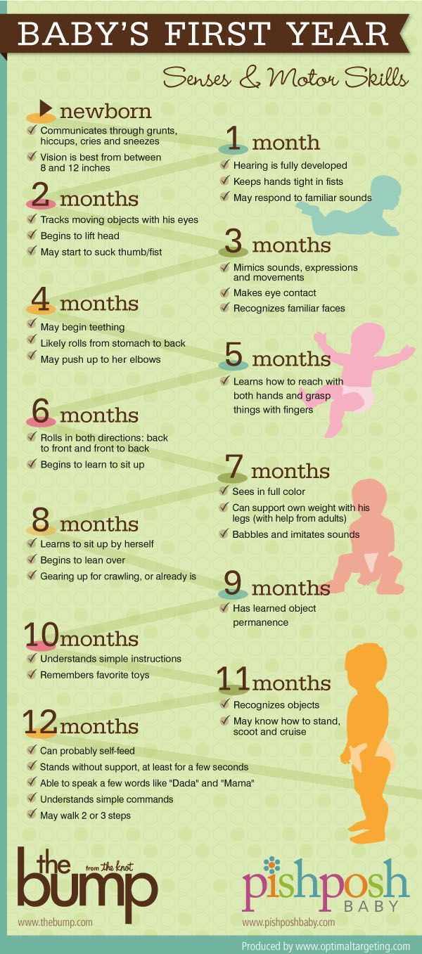 Babys first year – senses and motor skills