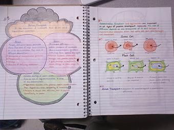Biology Teacher Supplies | Classworks-Notebook log(Some class-work worksheets ca