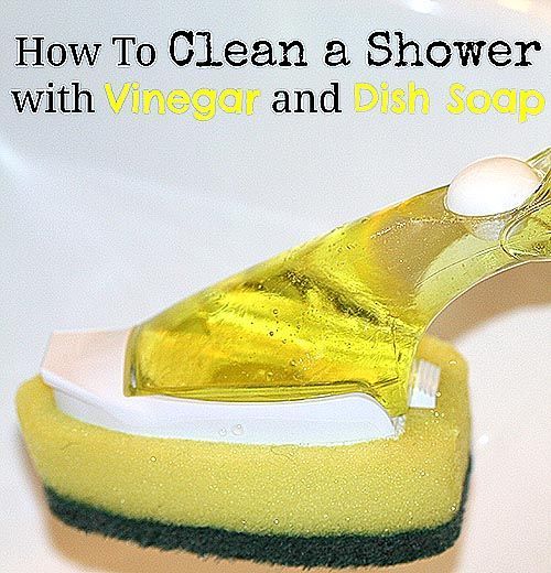 Easy Homemade Shower Cleaner: Dish scrubber  you can fill with cleaner, Vinegar,