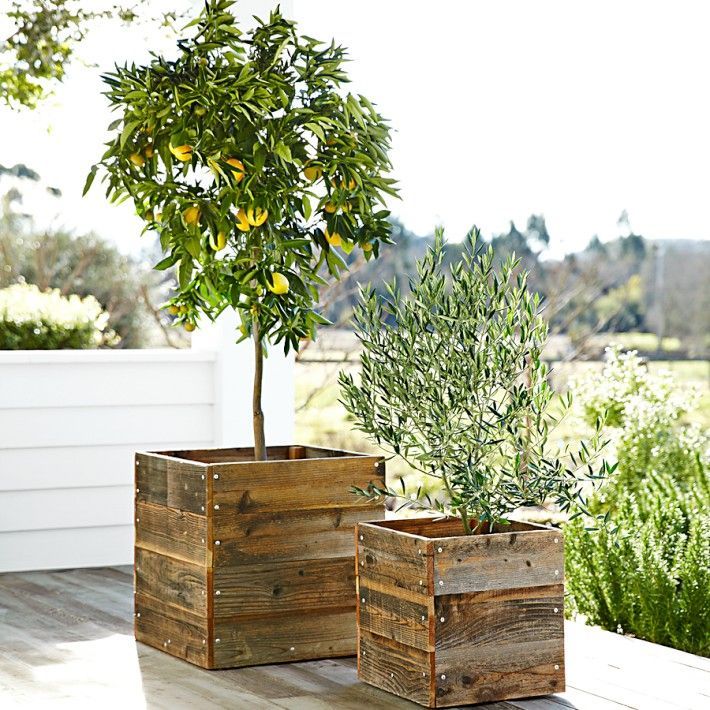Love the natural elements of this planter mixed with the hardware exposed nails.
