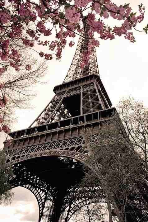 Paris in the springtime..