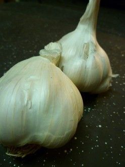 Using garlic water for plants:  The active sulfur compounds in garlic not only a