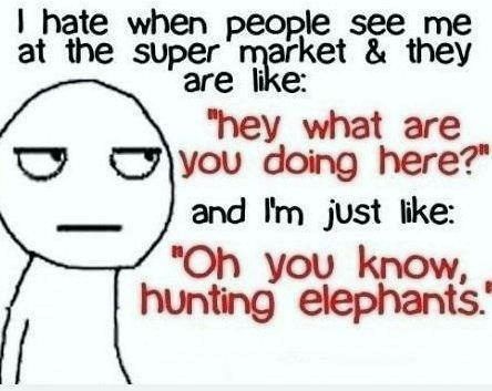 Yeah, ’cause people hunt elephants in super markets!!!!!!