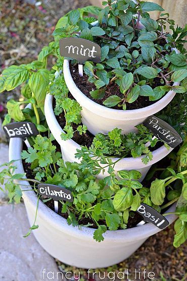 Stacked Herb Garden