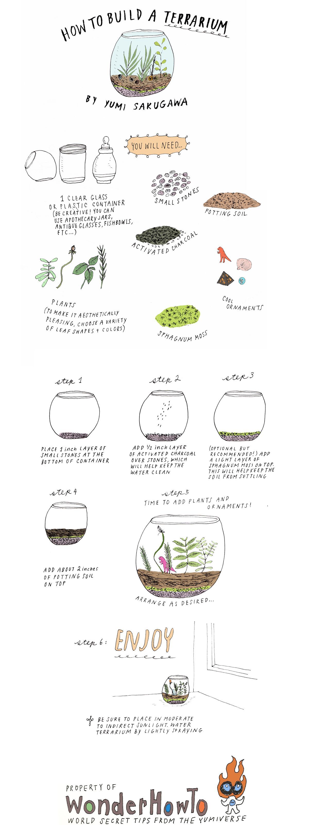 How to build a Terrarium-a fun, quick DIY from The Yumiverse! I think Id like to