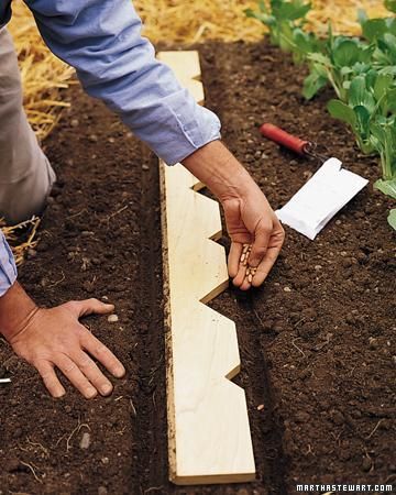 How to make a Planters Yardstick