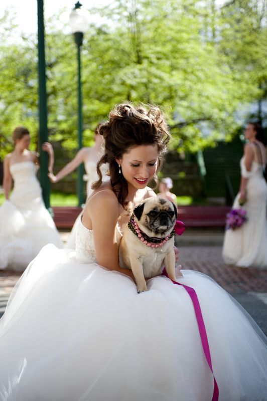 I sooo want to have my Pug Bella included in the Wedding pics! ♥