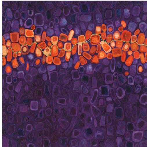 kilodot:    Karen Kamenetzkys beautiful art quilts inspired by microscopic/cellu