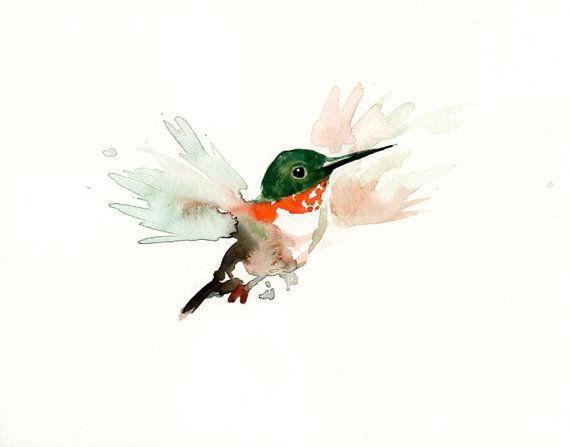 sweet hummingbird watercolor