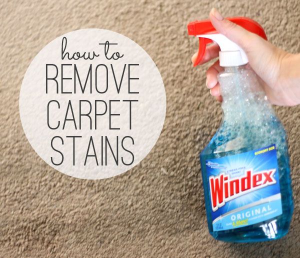 This is so true! My friend told me about using windex to clean stains out of my