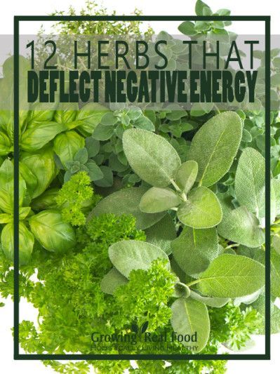 12 herb That Deflect Negative Energ