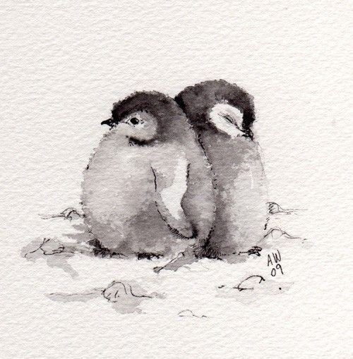 2 Little Penguin Chicks Original ink/watercolour by wildsunart