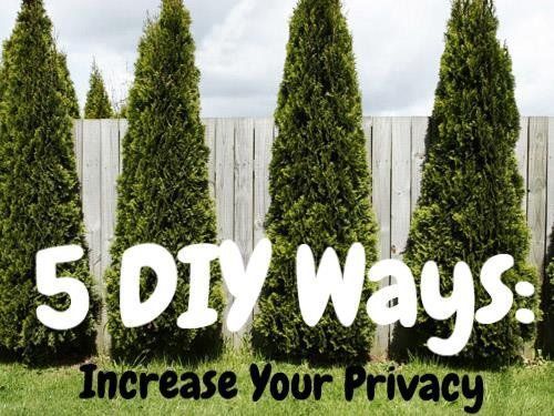 5 DIY ways: Increasing yard privacy