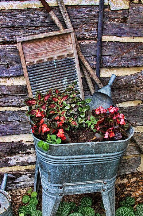 Well, if I cannot find an old wheelbarrow for same purpose, this would be cute i
