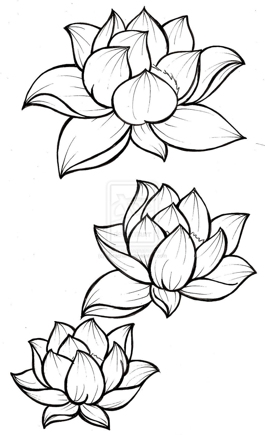 Lotus Blossom Tattoo by ~Metacharis