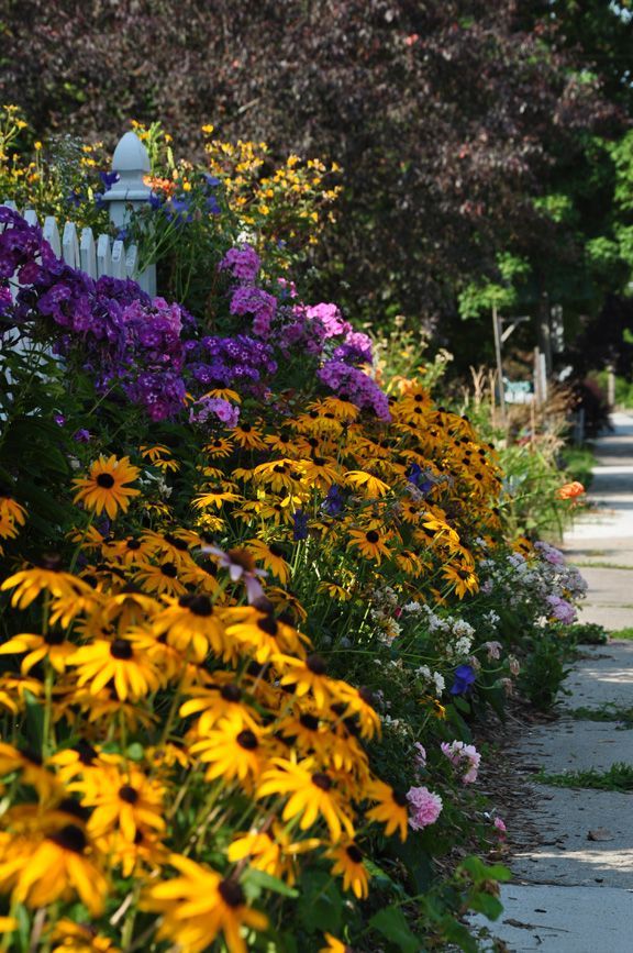 sidewalk, side yard, front yard, less grass, flowers, gardening, landscaping, brighten your