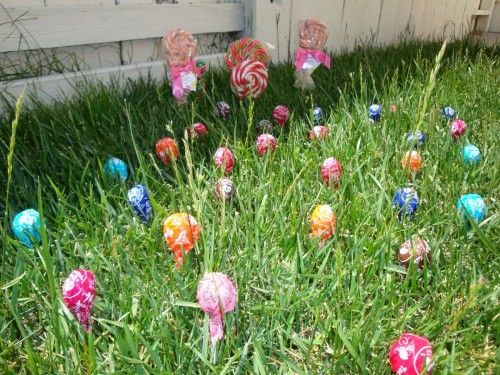 your kids plant jelly beans, and when they wake up in the morning, lollipops have “grown” where the jelly beans were planted.  Such a cute