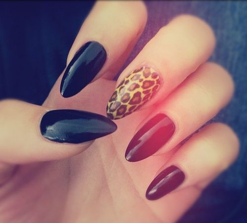 leopard stilleto nails tumb