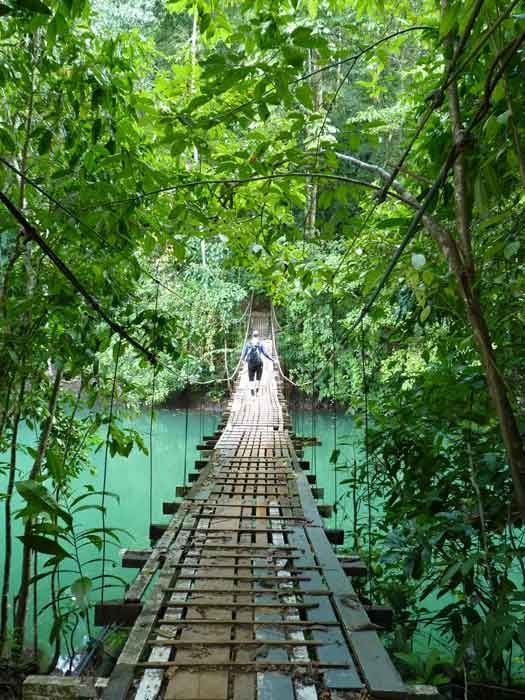 Osa Peninsula, Costa Rica