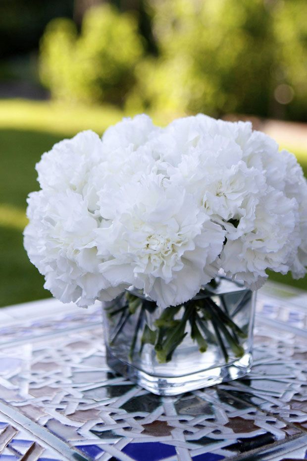 White carnations, so beautiful so simple. Ill be adding these the bouquets with orange tiger lilies I think