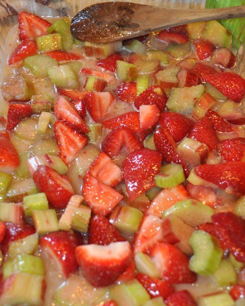 Strawberry Rhubarb Robin –