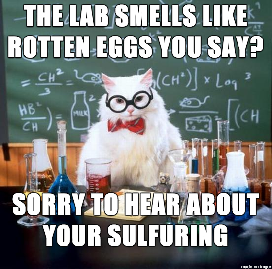 chemistry cat strikes again