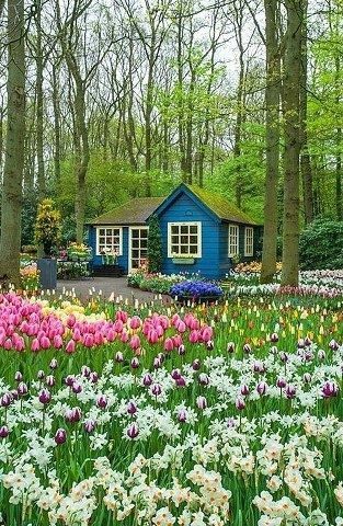 Small blue house among the trees and flowers…. always wanted to paint my house this shade of blue.
